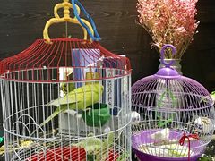 -舌尖上的食缘花园主题餐厅