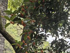 -天河潭旅游度假区