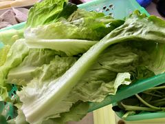 生菜-15年老字号鑫鑫猪肚鸡·椰子鸡海南火锅(兴隆华侨农场店)