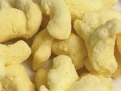 -深圳野生动物园