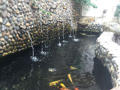 -茶米人台湾料理·精致快简餐