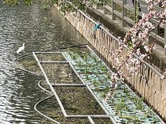 -富侨养生(康乾店)