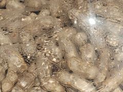 -荣家小吃(紫阳街店)