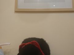 -滚猫咖啡·猫咖·猫友好撸猫(未来城店)
