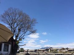 -丽江古城第一观景台
