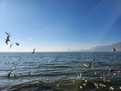 -滇池海埂公园