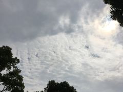 -漕湖湿地公园