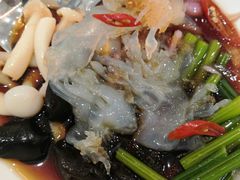 -食神鱼头佛跳墙(百子湾旗舰店)