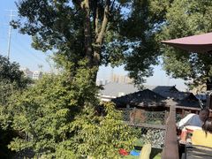 -耕渔小院·湖南鱼鲜(望城店)