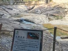 -广州白江湖森林公园