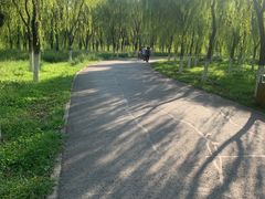 -东郊湿地公园