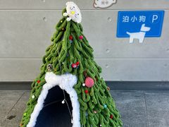 -阿那亚第三食堂 Cafeteria 3