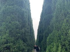 -汉景帝阳陵博物院