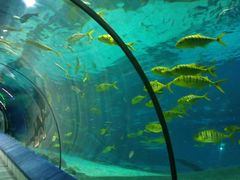 -福州罗源湾海洋世界旅游区