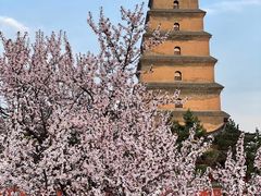 -大慈恩寺(大雁塔)