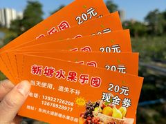 -新塘水果乐园(东洲大道店)