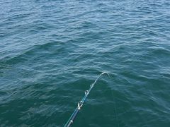 -威海国际海水浴场旅游区