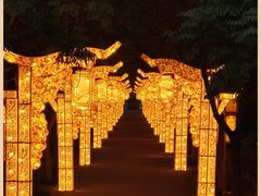 -洛阳市隋唐城遗址植物园