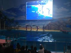 -福州罗源湾海洋世界旅游区