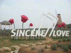 -大塘金香草谷