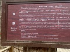 -吉林市朱雀山国家森林公园