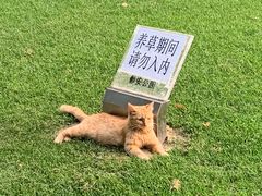 -静安公园(静安寺街道)