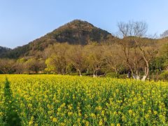 -八卦田遗址公园