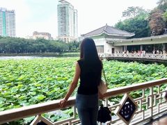 -荔湾湖公园
