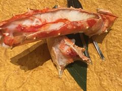 -松涛日本料理