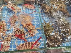 -桂园白粥·潮汕老味道