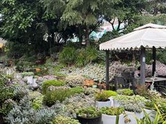 -山菌美食苑(振兴路店)