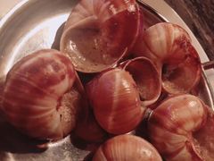 鹅肝蜗牛-金蜗牛
