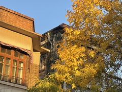 -19号私房菜(云南路店)