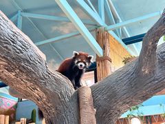 -石家庄市动物园