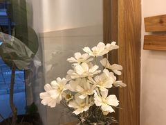-王守财小山園