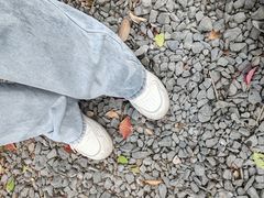 -苏州太湖西山岛开心农场