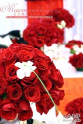 美雯苏宁卢浮宫-苏宁环球套房饭店·宴会厅