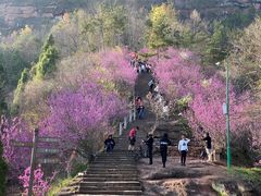 -天台山赤城山景区