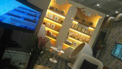 -Cocodemer女性健康·产后恢复(天一广场店)