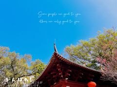 -光孝寺