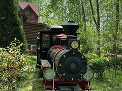 -合肥滨湖国家森林公园