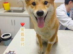 -安安宠物医院(佳林路分院)