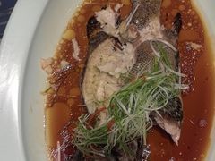 -佳兰雅序融合菜(高新店)