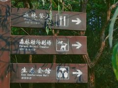-日照海滨国家森林公园