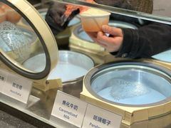 -Dip in Gelato(富民路店)