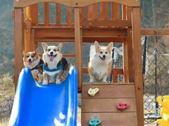 -北京山里寒舍度假酒店