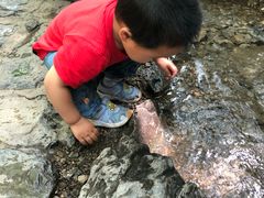 -十渡东湖港风景区