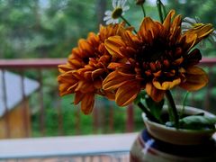 -望湘园·洞庭渔宴(永旺店)