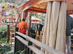 -二荆条·蜀鲜汇城市森林火锅