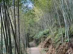 -千泷沟大瀑布旅游区